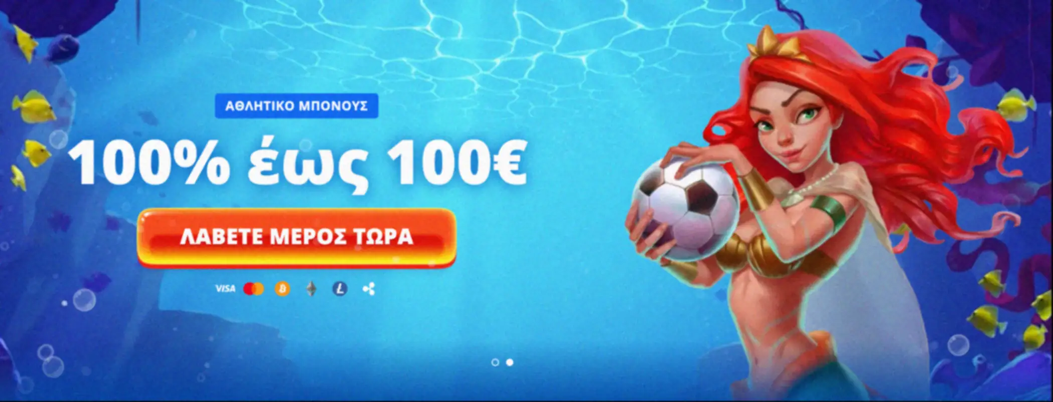 Πρόγραμμα επιβράβευσης και μπόνους